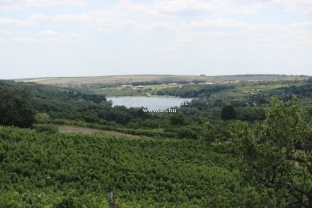 Eladó mezogazdasagi ingatlan, Egerben 215 M Ft
