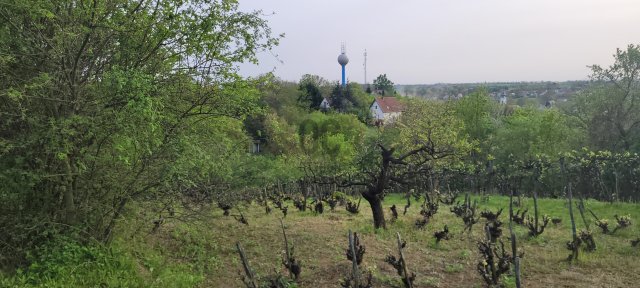 Eladó telek, Mányon 5.5 M Ft / költözzbe.hu