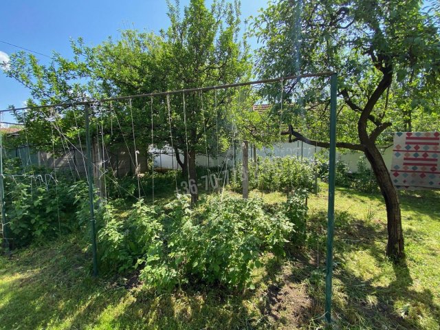 Eladó családi ház, Békéscsabán 38 M Ft, 2 szobás