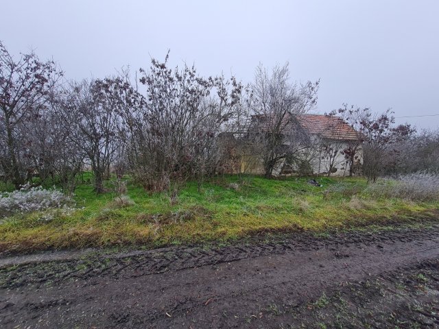 Eladó mezogazdasagi ingatlan, Tiszajenőn 2 M Ft