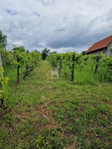 Eladó telek, Iszkaszentgyörgyön 4.9 M Ft / költözzbe.hu