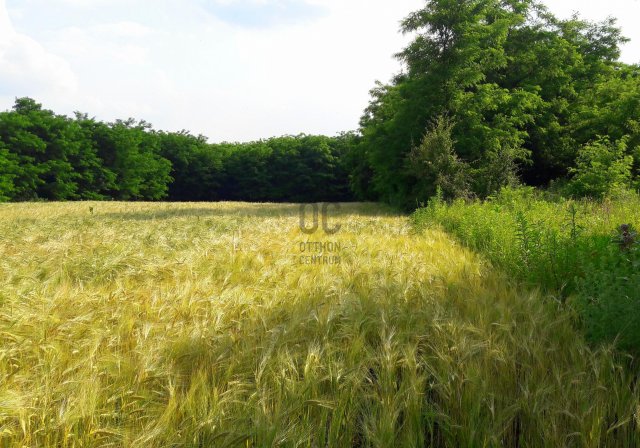 Eladó mezogazdasagi ingatlan, Kerepesen 1.99 M Ft