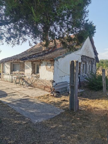 Eladó mezogazdasagi ingatlan, Csemőn, 9. dűlőn 7 M Ft, 1 szobás