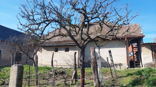 Eladó családi ház, Dombóváron 10.5 M Ft, 2 szobás