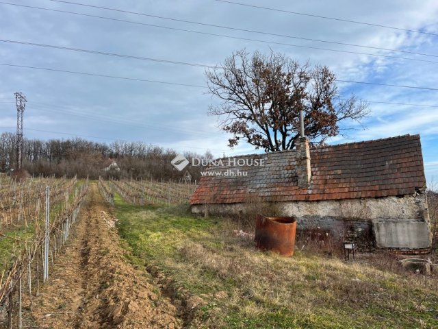 Eladó nyaraló, Balatonszőlősön 14.99 M Ft, 1 szobás