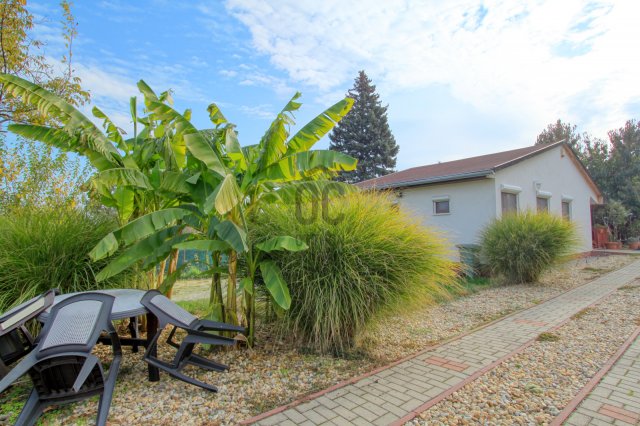 Eladó családi ház, Velencén 53.5 M Ft, 4 szobás