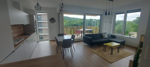 Kiadó téglalakás, albérlet, Budapesten, XI. kerületben