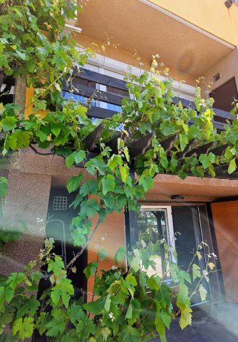 Eladó sorház, Szigetszentmiklóson 89.9 M Ft, 5 szobás