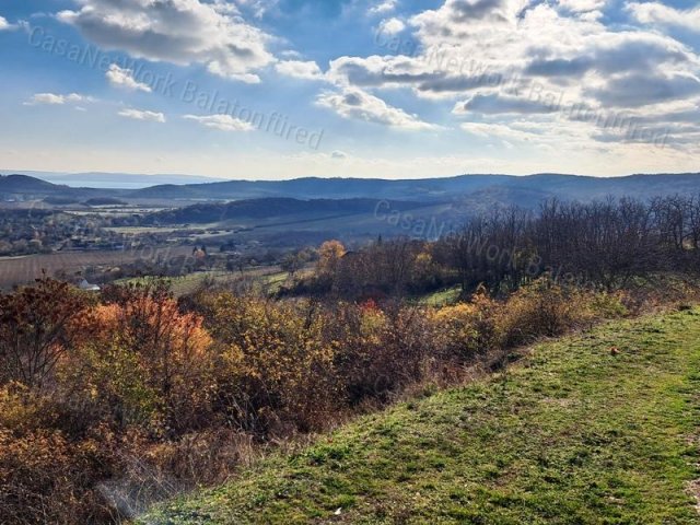 Eladó mezogazdasagi ingatlan, Pécselyen 29.9 M Ft