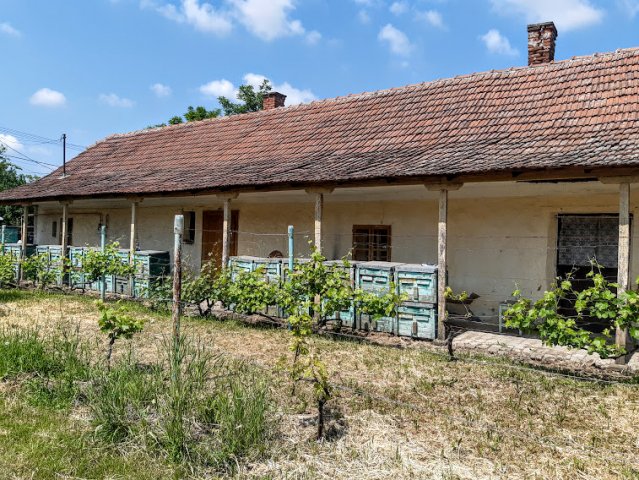 Eladó családi ház, Békésen 6.5 M Ft, 1 szobás