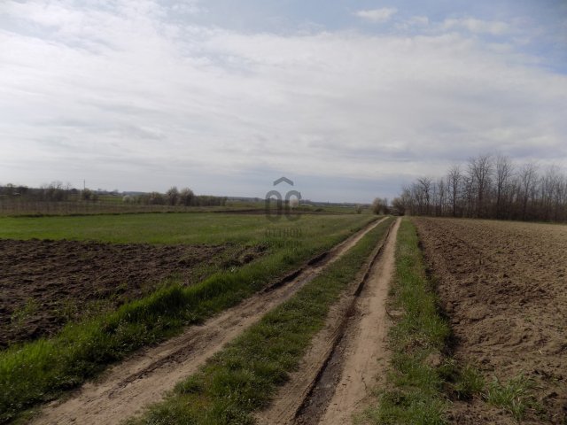 Eladó telek, Nagykőrösön 7.5 M Ft / költözzbe.hu