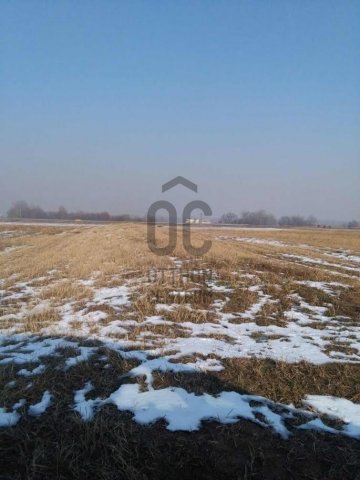 Eladó mezogazdasagi ingatlan, Vecsésen 38.592 M Ft