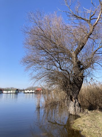 Eladó családi ház, Oroszlányban 15.9 M Ft, 1 szobás