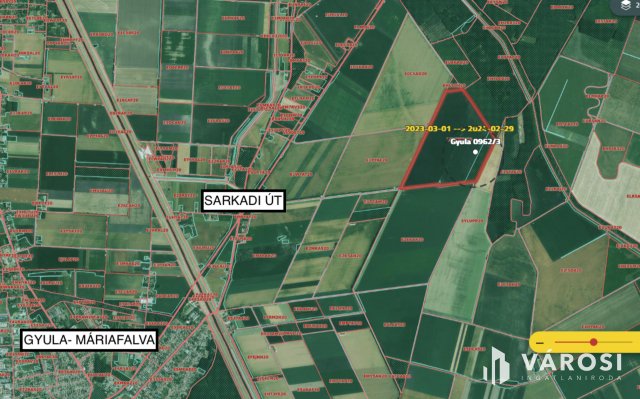 Eladó mezogazdasagi ingatlan, Gyulán 4 M Ft / költözzbe.hu