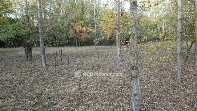 Eladó mezogazdasagi ingatlan, Pusztamérgesen 11.5 M Ft