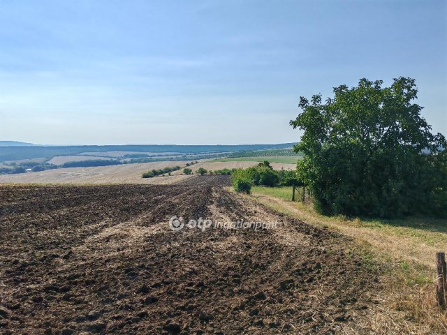 Eladó telek, Szomoron 9.5 M Ft / költözzbe.hu