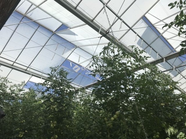 Eladó mezogazdasagi ingatlan, Kiskunfélegyházán 815 M Ft
