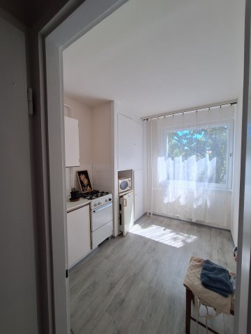 Kiadó panellakás, albérlet, Szolnokon, Ady Endre úton, 1 szobás