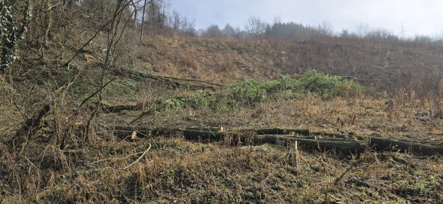 Eladó telek, Zalaegerszegen 1.5 M Ft / költözzbe.hu