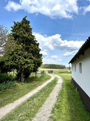 Eladó mezogazdasagi ingatlan, Lajosmizsén 190 M Ft, 6 szobás