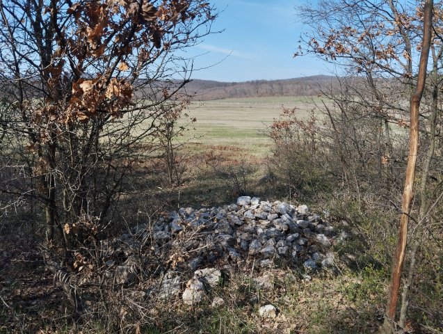 Eladó mezogazdasagi ingatlan, Balatonszőlősön 25 M Ft