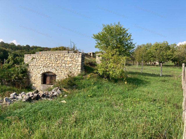 Eladó családi ház, Balatonszőlősön 37.9 M Ft