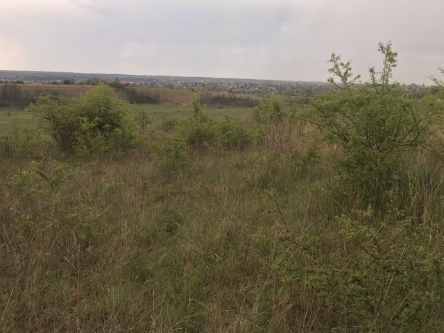 Eladó mezogazdasagi ingatlan, Isaszegen 11.9 M Ft
