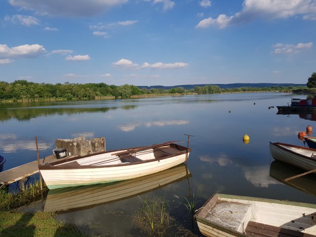 Eladó telek, Balatonbogláron 550 M Ft / költözzbe.hu