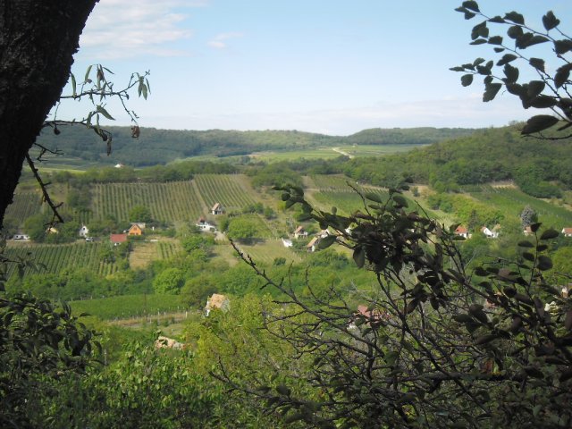 Eladó mezogazdasagi ingatlan, Szekszárdon 5.2 M Ft