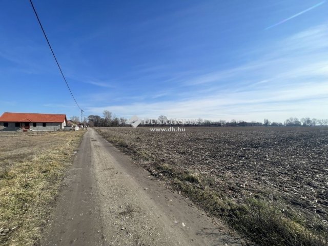 Eladó telek, Monoron 16.8 M Ft / költözzbe.hu