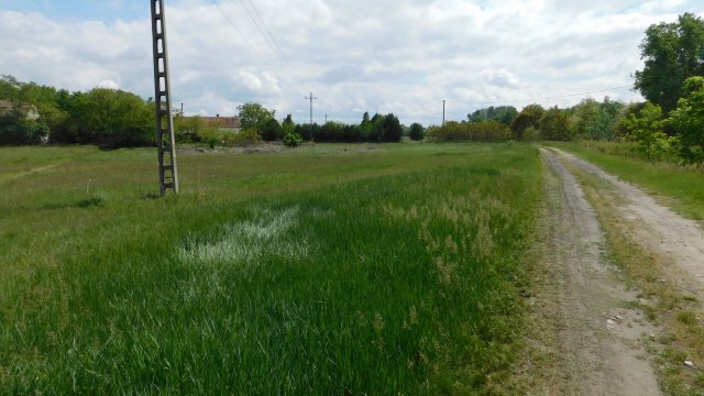 Eladó mezogazdasagi ingatlan, Szegeden, Külterület 15.5 M Ft