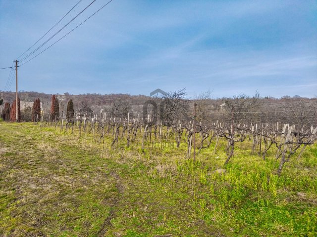 Eladó családi ház, Várpalotán 15.9 M Ft, 2 szobás