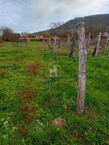 Eladó mezogazdasagi ingatlan, Somlószőlősön 1.9 M Ft