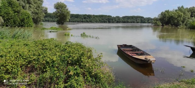 Eladó családi ház, Dunaszekcsőn 8.9 M Ft, 2 szobás