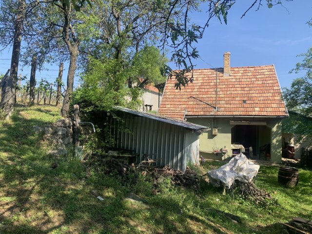 Eladó mezogazdasagi ingatlan, Szekszárdon 11.5 M Ft, 3 szobás