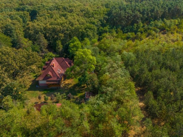 Eladó családi ház, Debrecenben 269 M Ft, 9 szobás