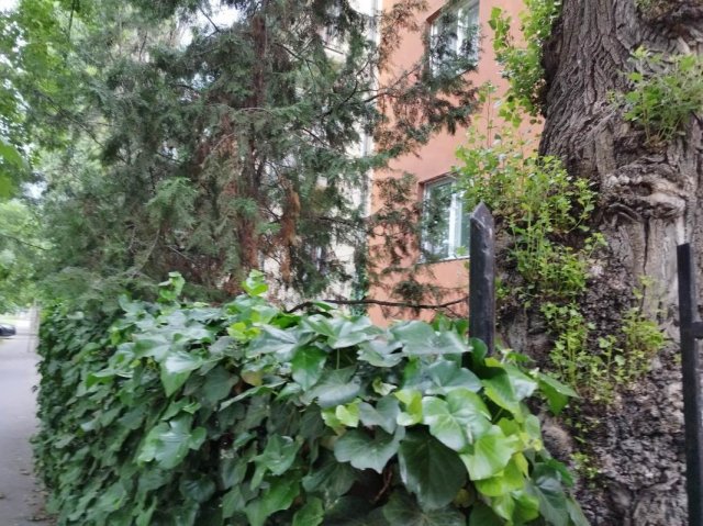 Eladó téglalakás, Budapesten, XI. kerületben 43 M Ft, 2 szobás
