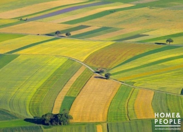 Eladó mezogazdasagi ingatlan, Balástyán 5 M Ft