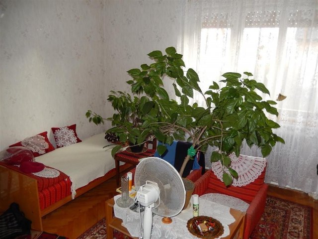 Eladó családi ház, Kaposváron 38.9 M Ft, 5 szobás