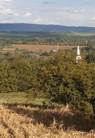 Eladó telek, Alsópáhokon 34.8 M Ft / költözzbe.hu