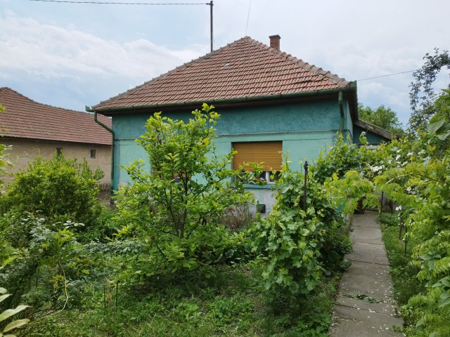 Eladó családi ház, Csányon 23 M Ft, 4 szobás
