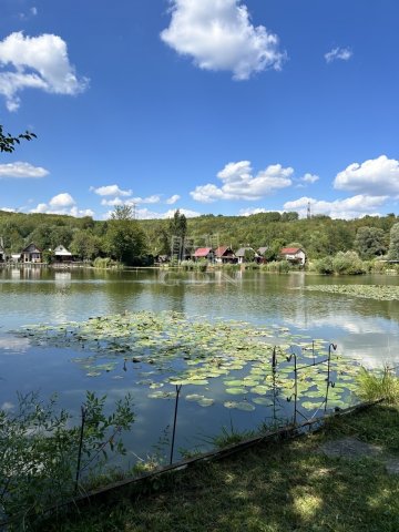 Eladó mezogazdasagi ingatlan, Pécelen 30.995 M Ft, 1+2 szobás