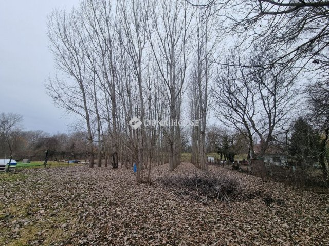 Eladó telek, Tiszaugon 5.99 M Ft / költözzbe.hu