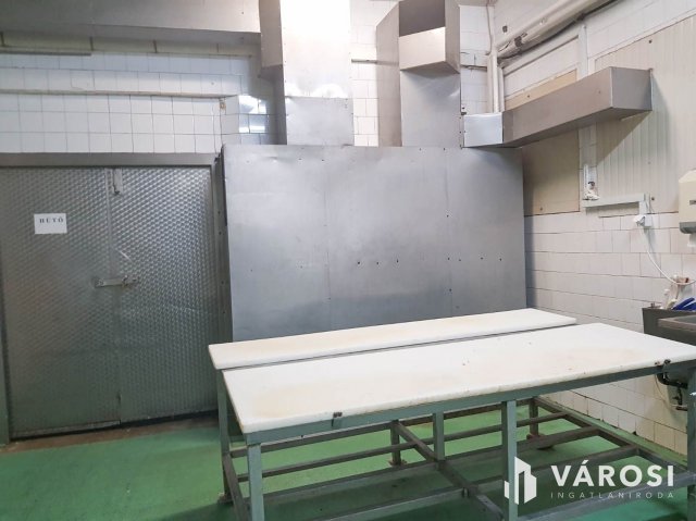Eladó ipari ingatlan, Hódmezővásárhelyen 150 M Ft