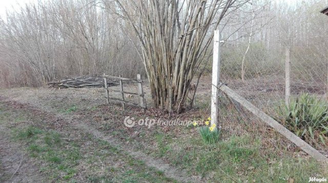 Eladó telek, Ráckevén 6.5 M Ft / költözzbe.hu