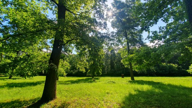 Eladó családi ház, Nagykanizsán 319 M Ft, 3 szobás