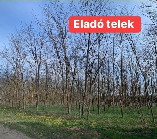 Eladó telek, Kecskeméten 5.9 M Ft / költözzbe.hu