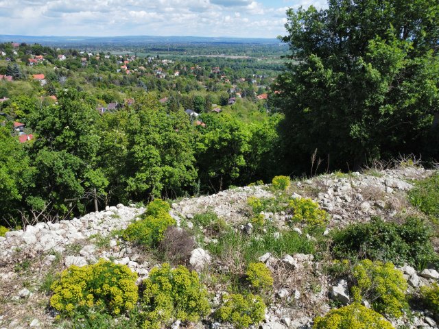 Eladó telek, Szentendrén 54.9 M Ft / költözzbe.hu