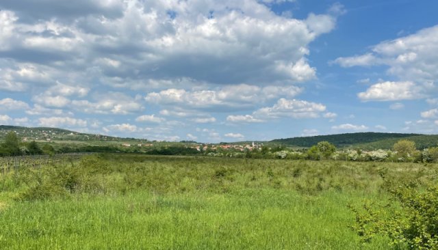 Eladó telek, Dörgicsén 44.5 M Ft / költözzbe.hu