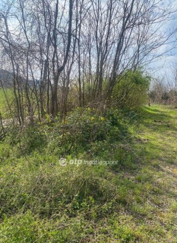 Eladó telek, Zalabéren 2.5 M Ft / költözzbe.hu